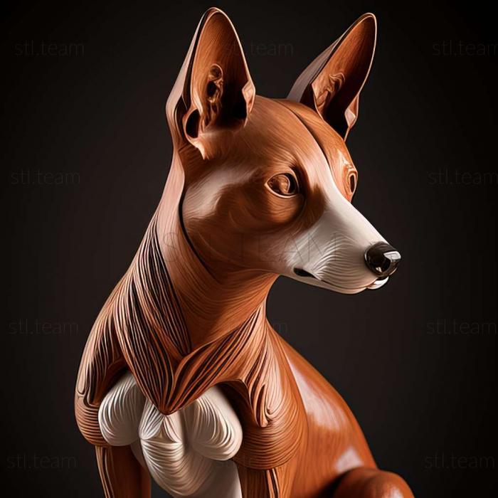 Animals Basenji dog